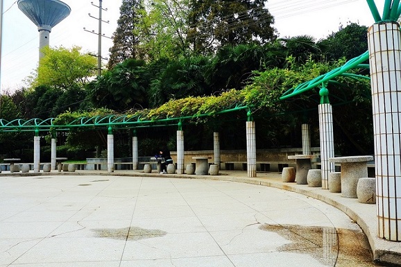 清晓园小广场.jpg